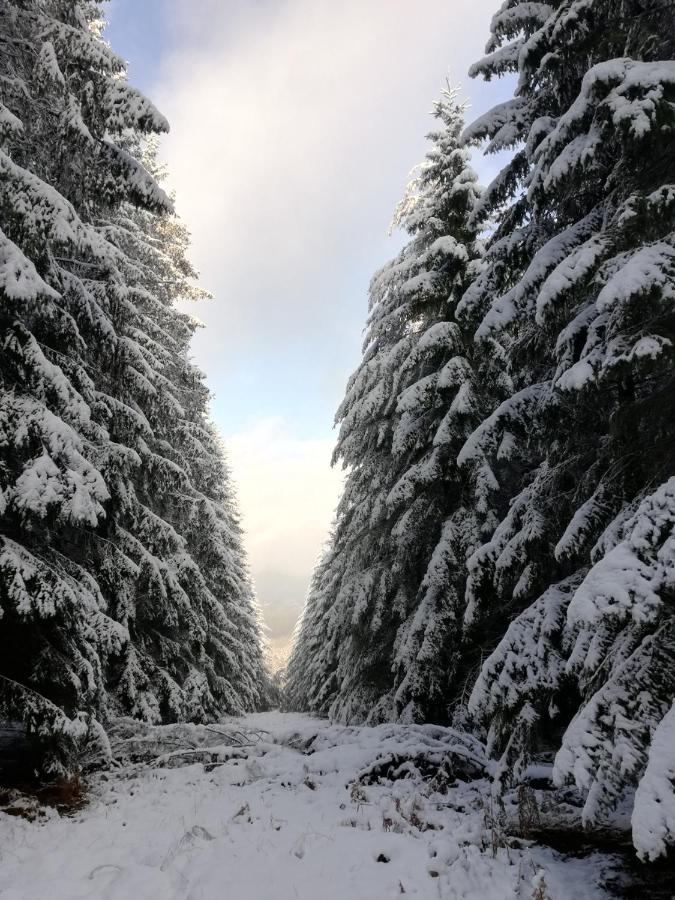 Chalet Du Praillage スパ エクステリア 写真